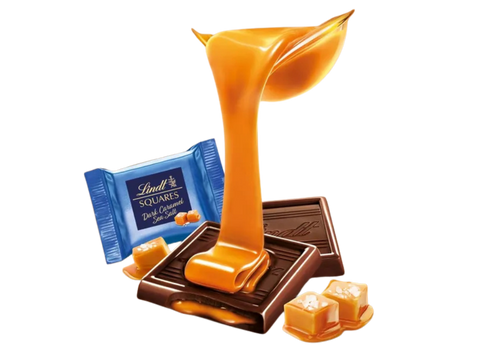 Lindt | Salted Caramel Dark Chocolate Squares